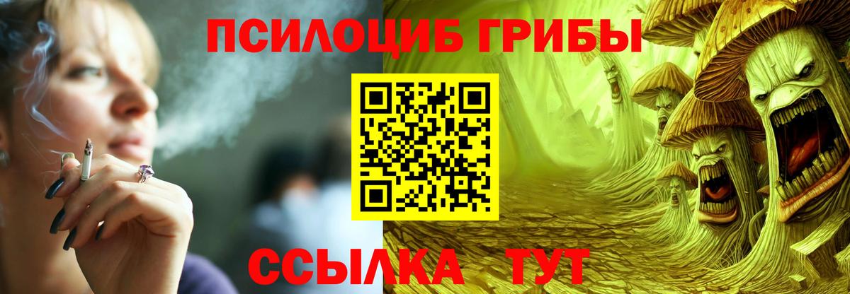 Углич  Галлюциногенные грибы ЛСД  Вход с VPN 